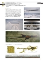 北海道科学大学　建築学科作品集　2013-2014