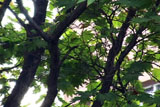 b01020̃[r[