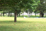 b01080̃[r[