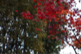 b01101̃[r[