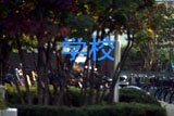 b01148̃[r[