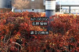 b02002̃[r[