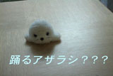 b02042̃[r[