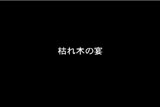 b02069̃[r[