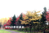 b02080̃[r[