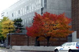 b02106̃[r[