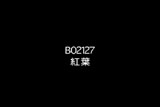 b02127̃[r[