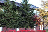 b02136̃[r[