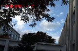 b02149̃[r[