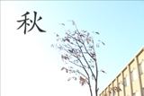 b02304̃[r[