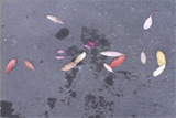 b03011̃[r[