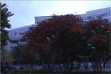 b03013̃[r[