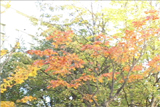 b03021̃[r[
