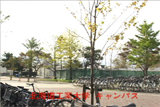 b03026̃[r[