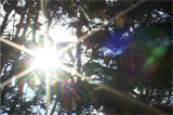 b03027̃[r[