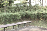 b03033̃[r[