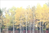 b03036̃[r[