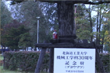b03038̃[r[