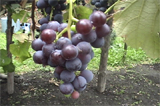 b03043̃[r[