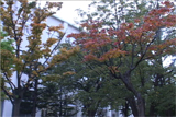 b03050̃[r[