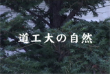 b03082̃[r[