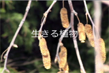 b03084̃[r[