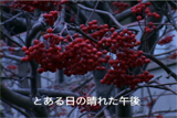 b03089̃[r[