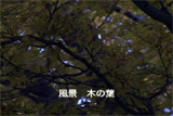 b03103̃[r[