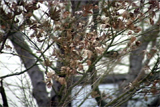 b03118̃[r[