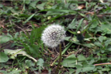 b03123̃[r[