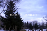 b03131̃[r[