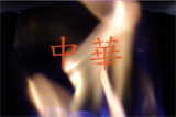 b03136̃[r[