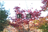 b04010̃[r[
