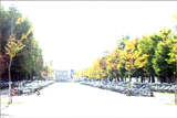 b04020̃[r[