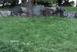 b04028̃[r[