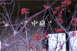 b04078̃[r[