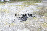 b04123̃[r[