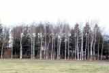 b04136̃[r[