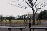 b04140̃[r[