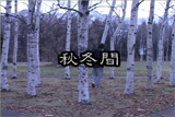 b04143̃[r[