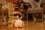 : DSC05333.JPG