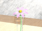 Ă̕ETlC摜