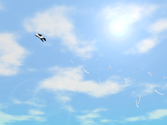bird