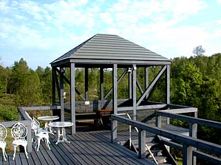 バーベキュー(虫との闘いが待っている)