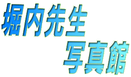 x搶 @@@@ʐ^ 