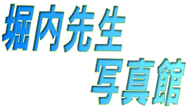 x搶 @@@@ʐ^ 